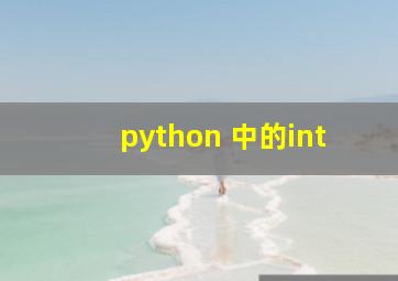 python 中的int